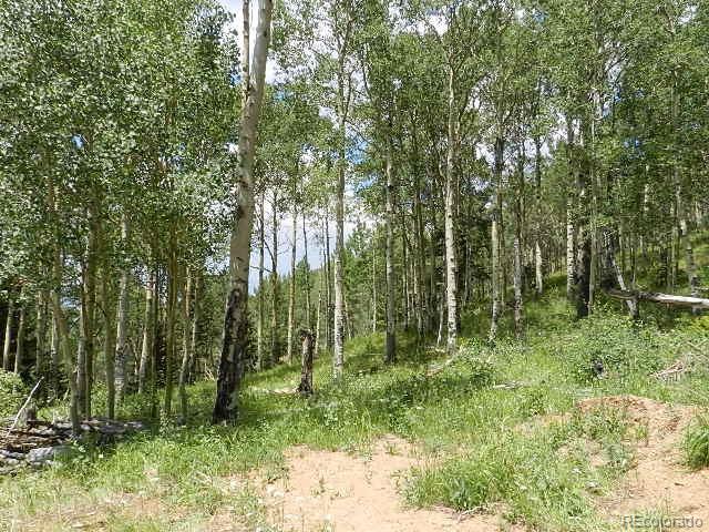 6740 Forbes Road Fort Garland, CO 81133 - Photo 5 of 25 Gallery Image 5