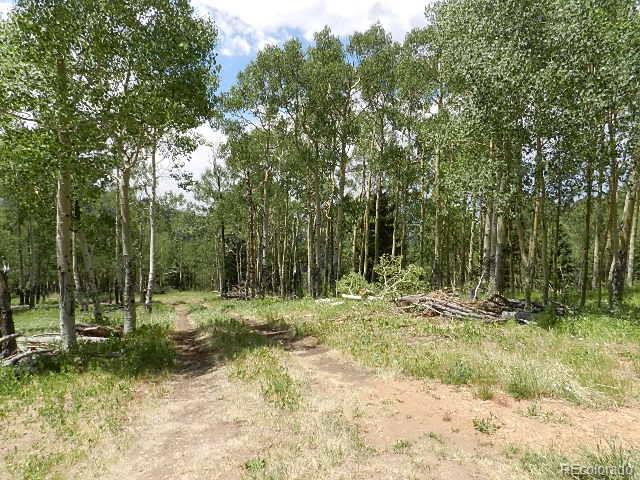 6740 Forbes Road Fort Garland, CO 81133 - Photo 7 of 25 Gallery Image 7