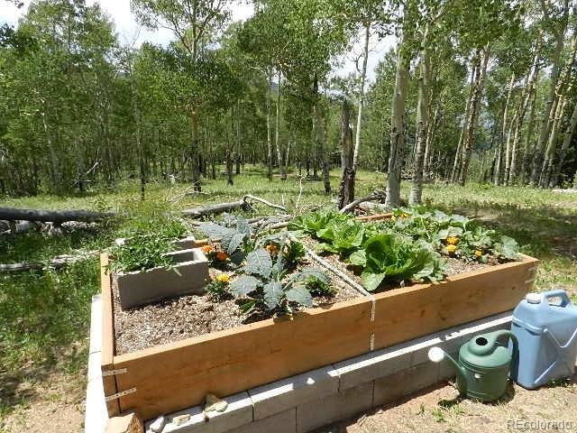 6740 Forbes Road Fort Garland, CO 81133 - Photo 8 of 25 Gallery Image 8