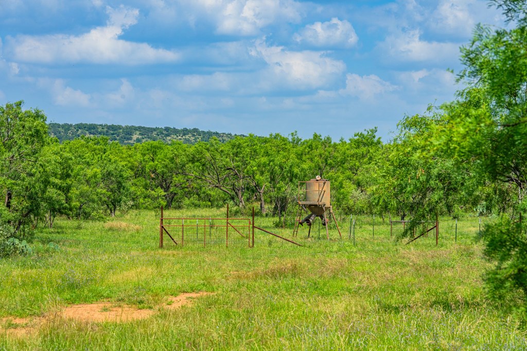 7602 County Road 113 Llano, TX 78643 - Photo 33 of 69