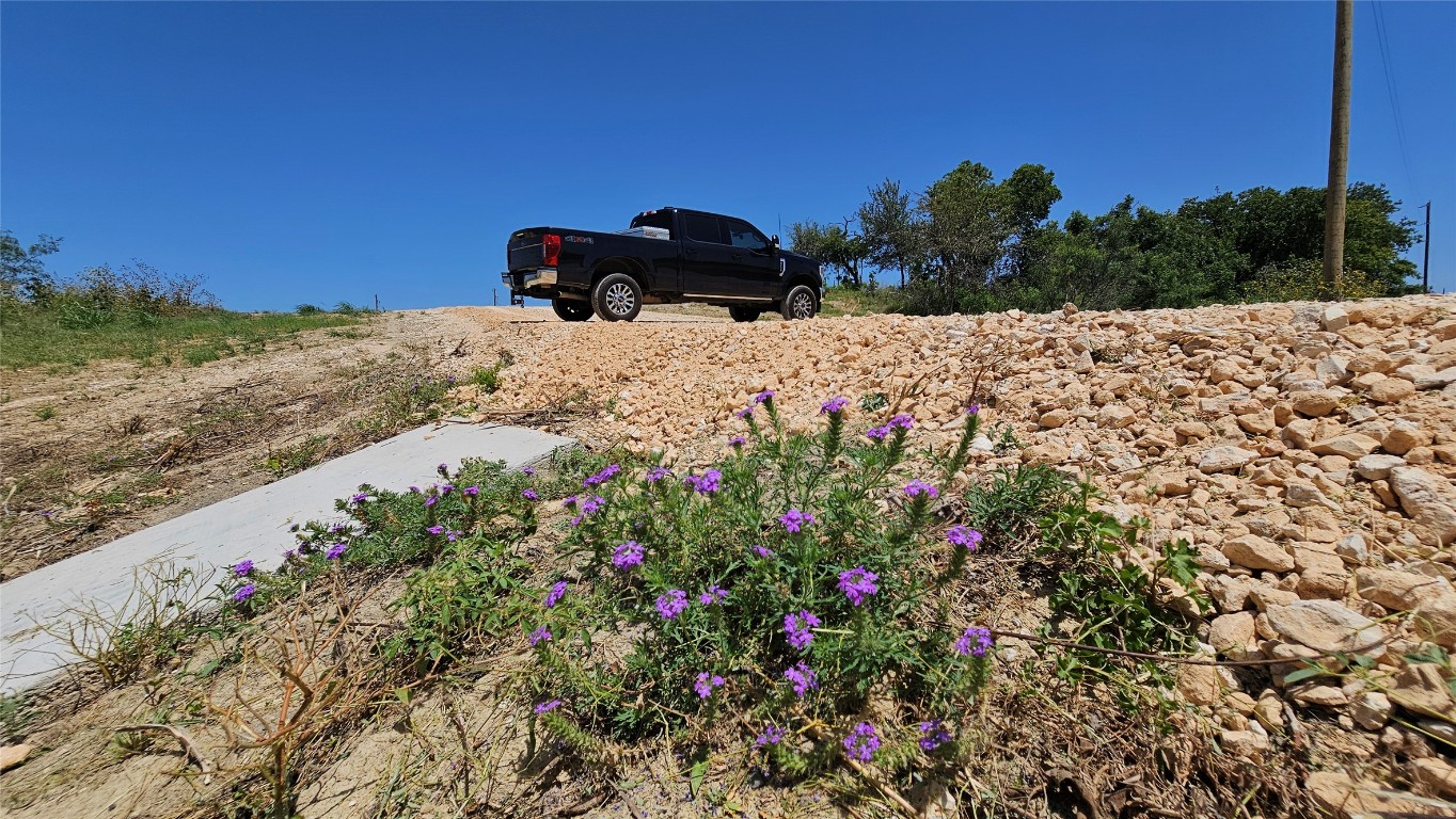 2069 County Road 455 Coupland, TX 78615 - Photo 5 of 11 a view of a bunch of flowers