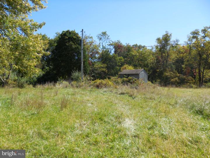1292 Eagle Road New Hope, PA 18938 - Photo 8 of 11