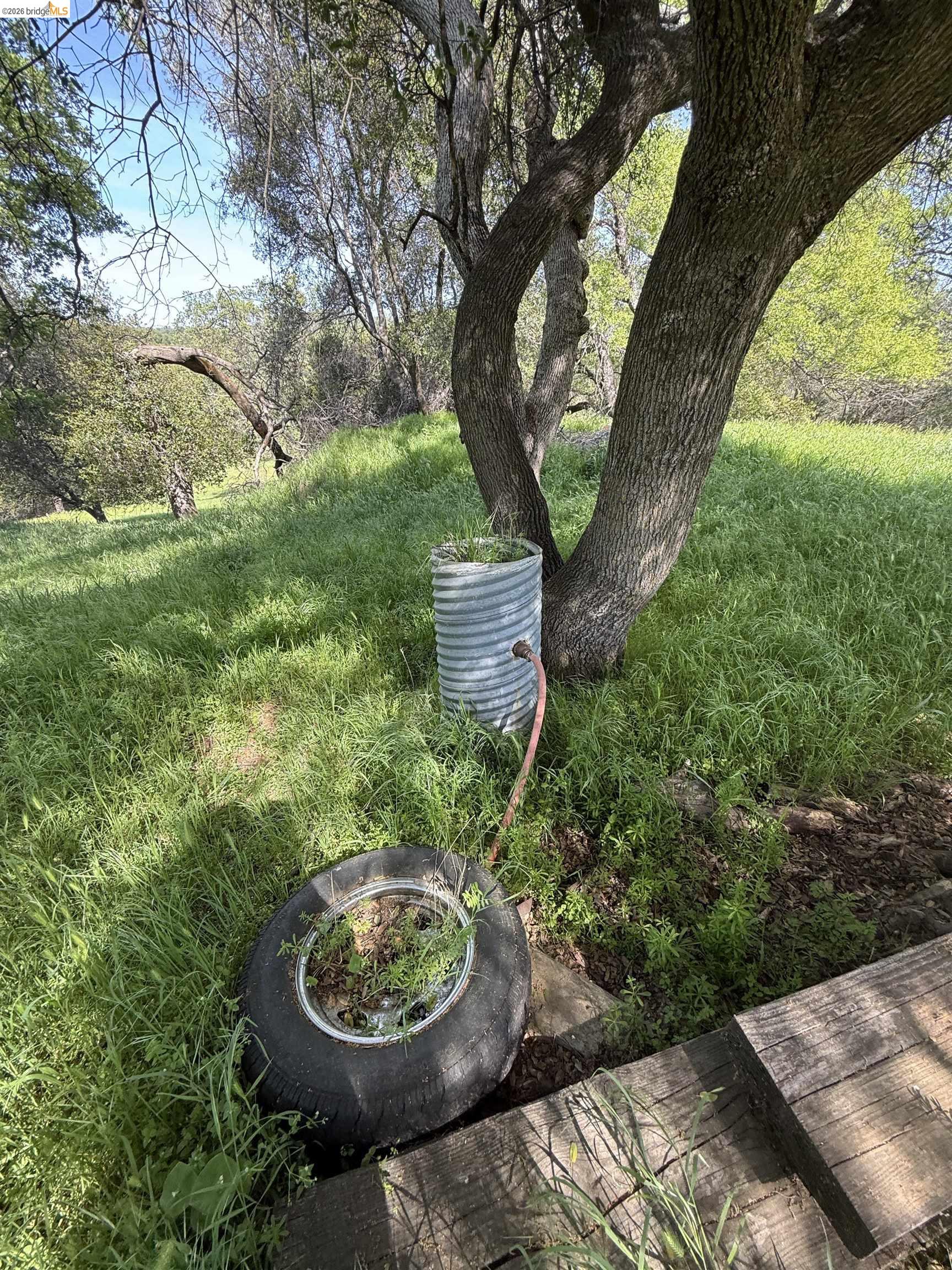 8534 Wilcox Ranch Road Sonora, CA 95370 - Photo 10 of 21 Gallery Image 10