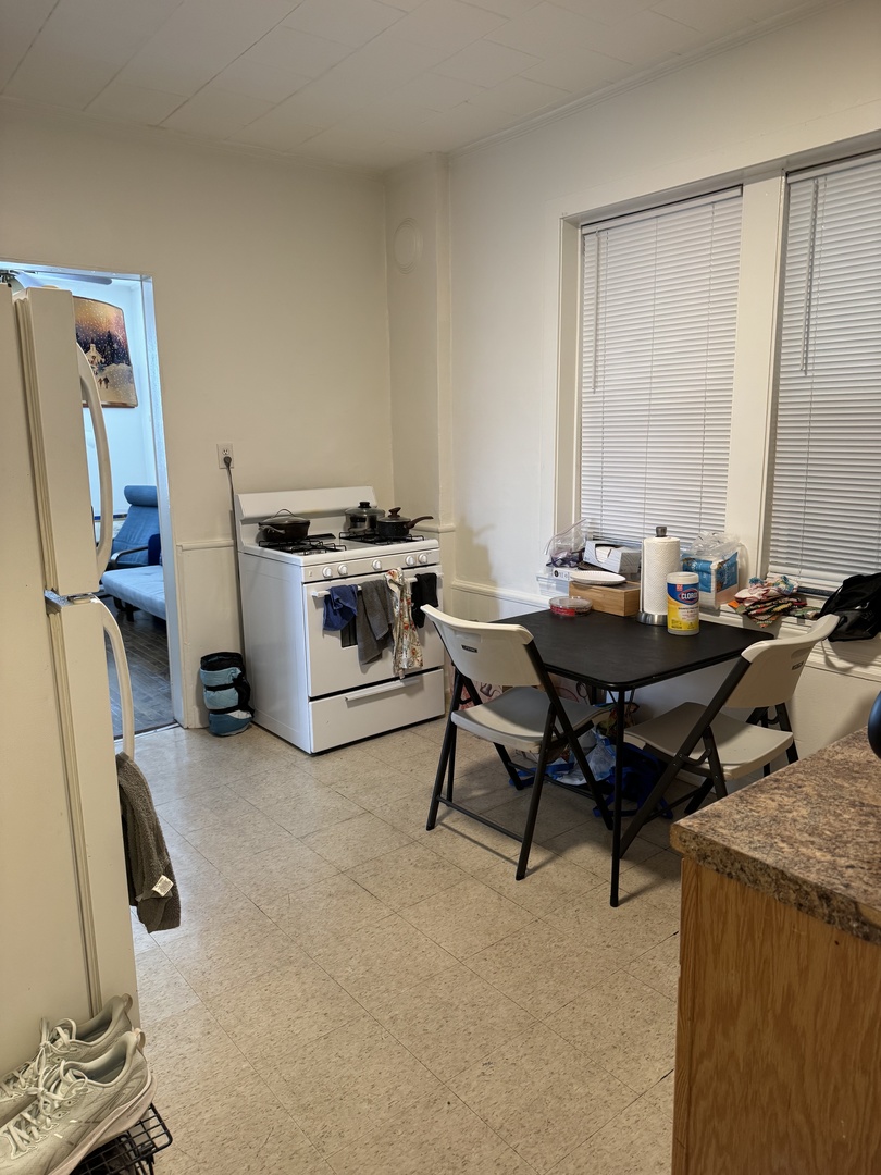 3145 South May Street, Unit 2R Chicago, IL 60608 - Photo 5 of 11
