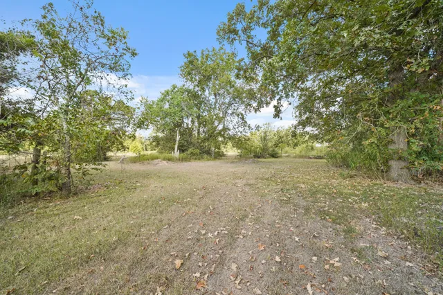 a view of yard with green space