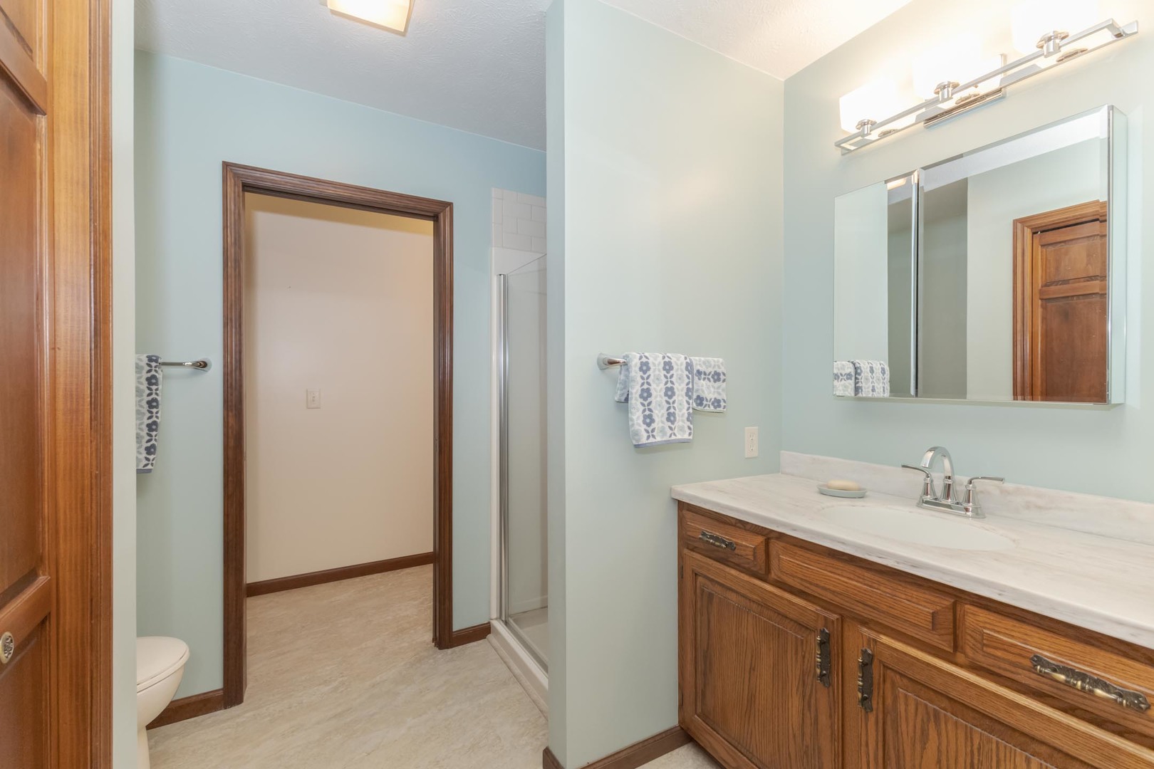 905 Rhymer Drive Normal, IL 61761 - Photo 20 of 47 a bathroom with a sink a light fixture and a mirror