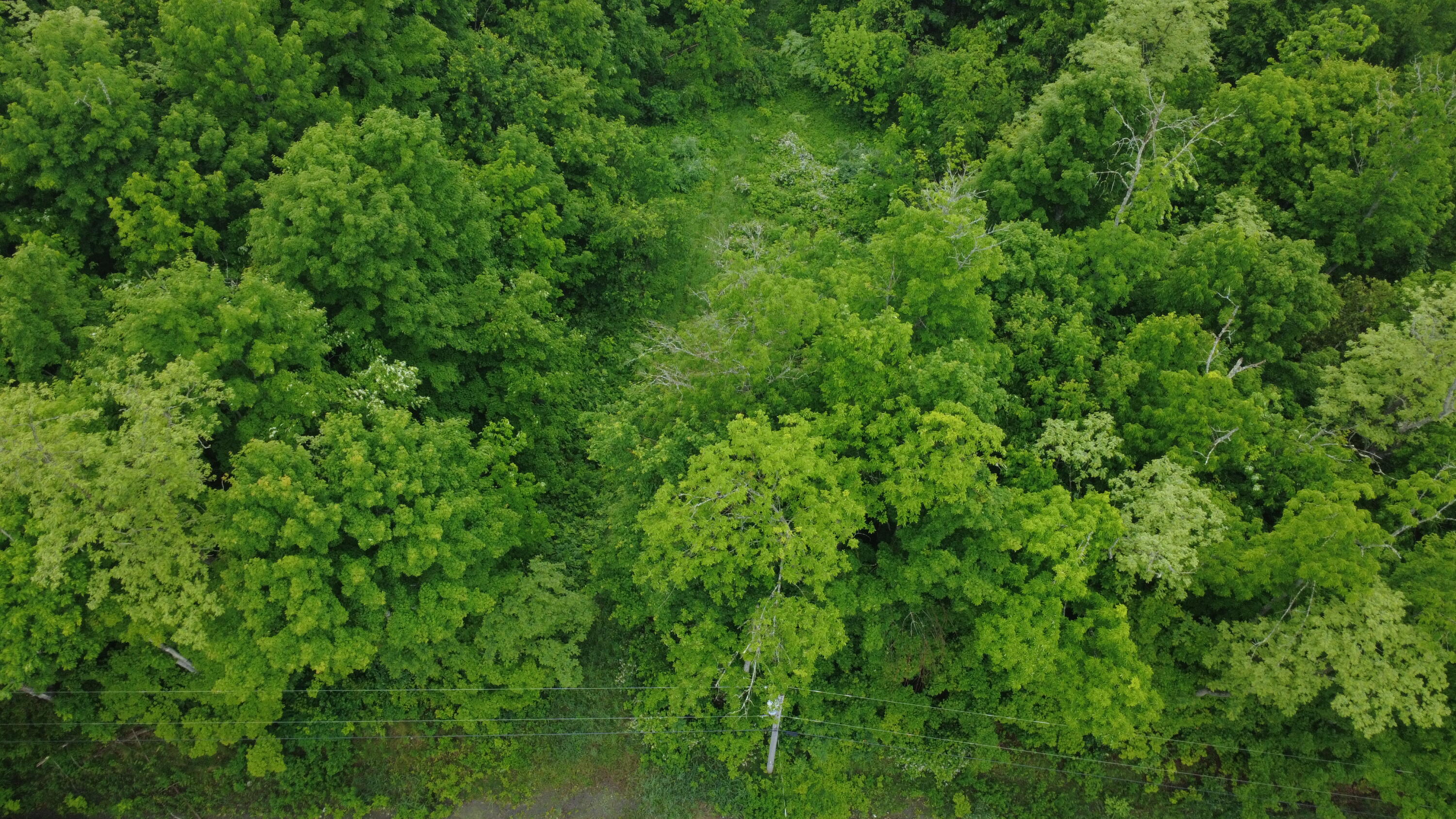 Lot 4.111 Lyford Road Milo, ME 04463 - Photo 5 of 6 Aerial
