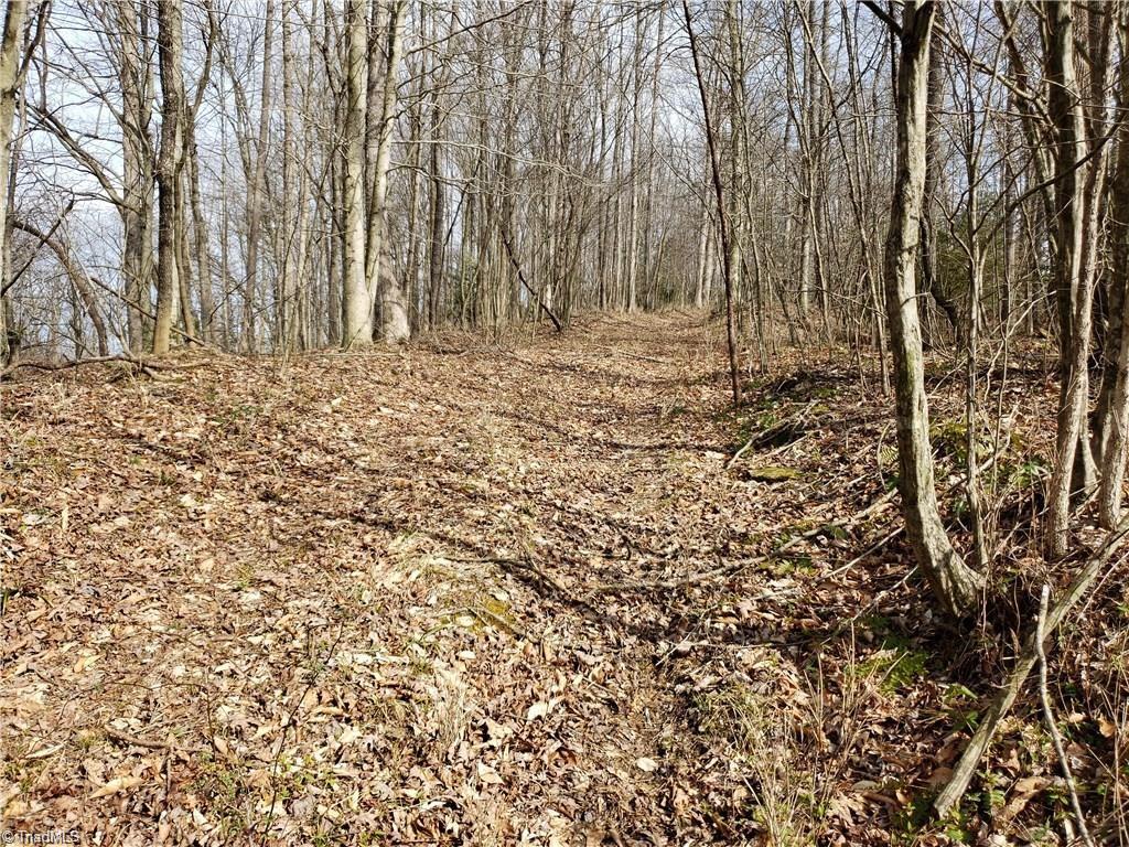21-ac Buck Fork Road Dobson, NC 27017 - Photo 4 of 14 Gallery Image 4