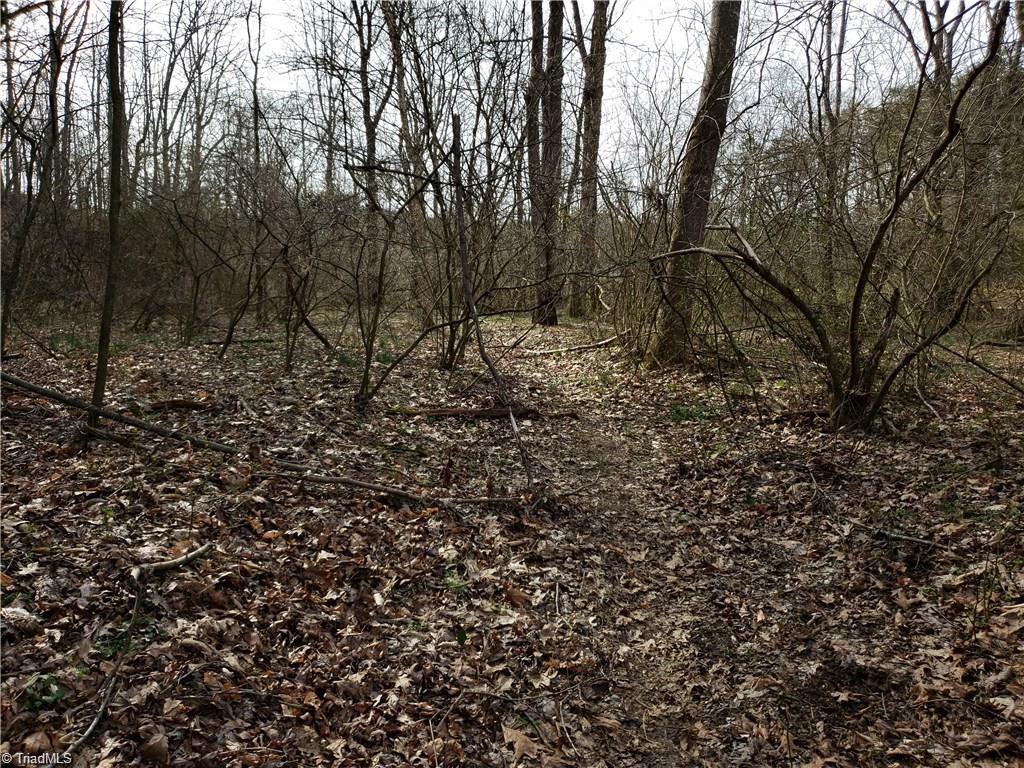 21-ac Buck Fork Road Dobson, NC 27017 - Photo 5 of 14 Gallery Image 5