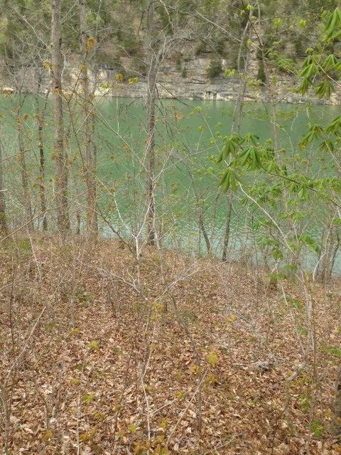 2852 Roberts Bend Road Burnside, KY 42519 - Photo 1 of 1 Primary Photo