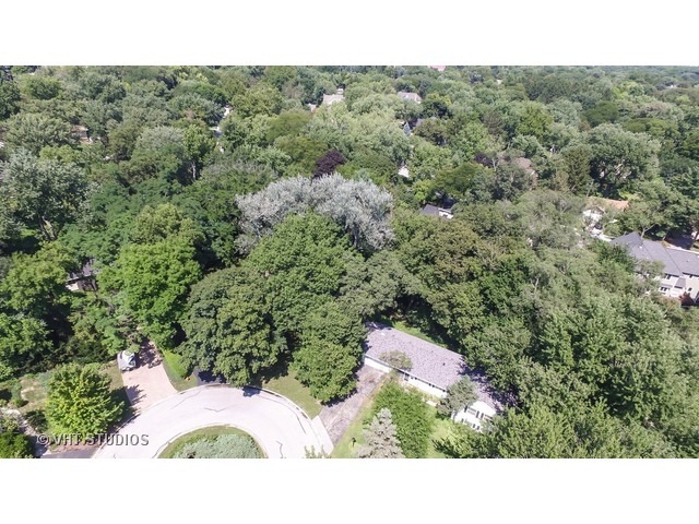 31 Golden Larch Court Naperville, IL 60540 - Photo 7 of 11