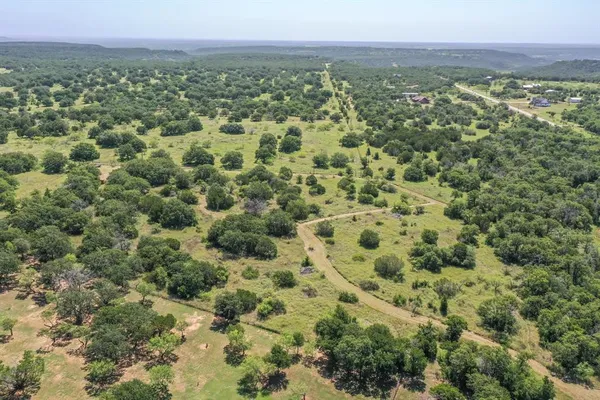a view of a green field with lots of bushes