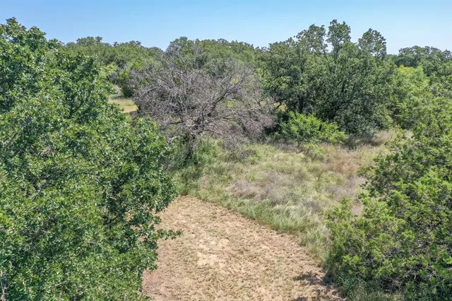 a view of a yard with trees