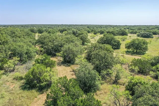 a view of a field with an trees in the background
