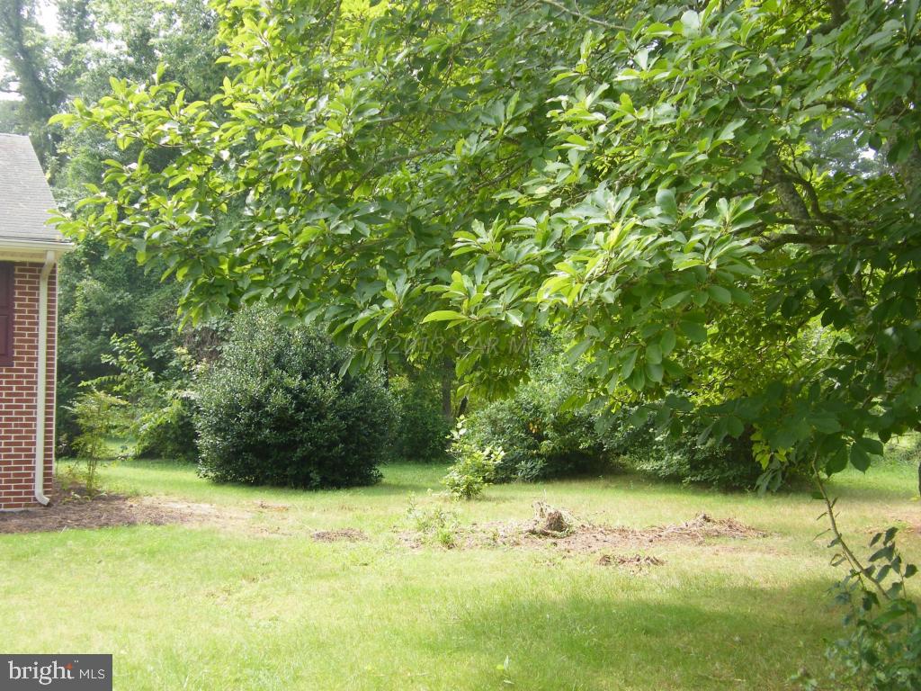 28151 Riverside Drive Salisbury, MD 21801 - Photo 3 of 18 Gallery Image 3