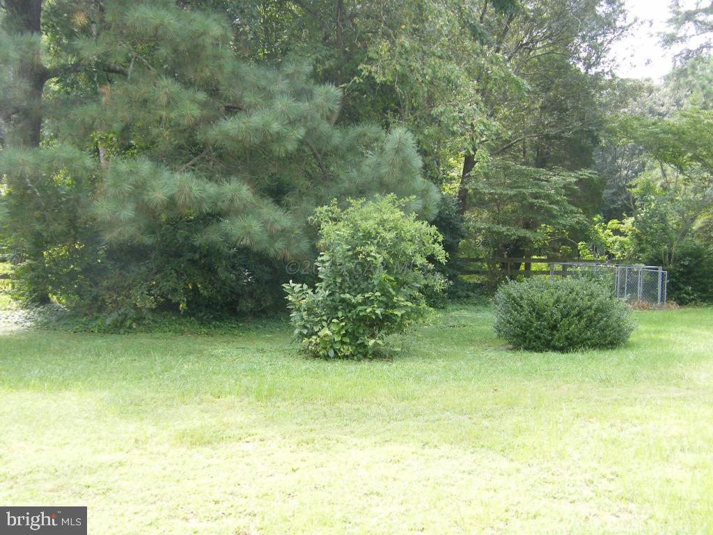 28151 Riverside Drive Salisbury, MD 21801 - Photo 5 of 18 Gallery Image 5