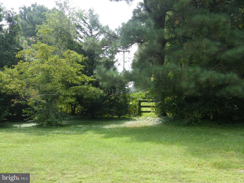 28151 Riverside Drive Salisbury, MD 21801 - Photo 6 of 18 Gallery Image 6