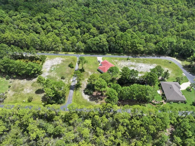 a view of a flower in a garden