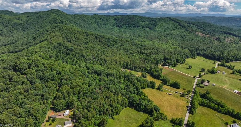 Tbd Shingle Gap Road Purlear, NC 28665 - Photo 16 of 20