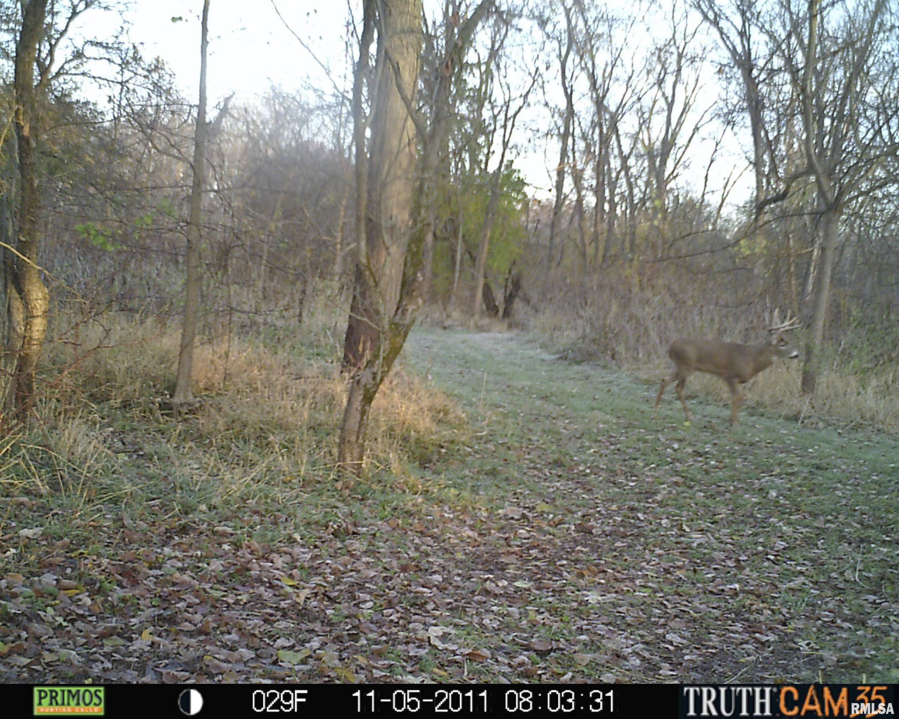 0 State Route 89 Magnolia, IL 61336 - Photo 60 of 97 Gallery Image 60