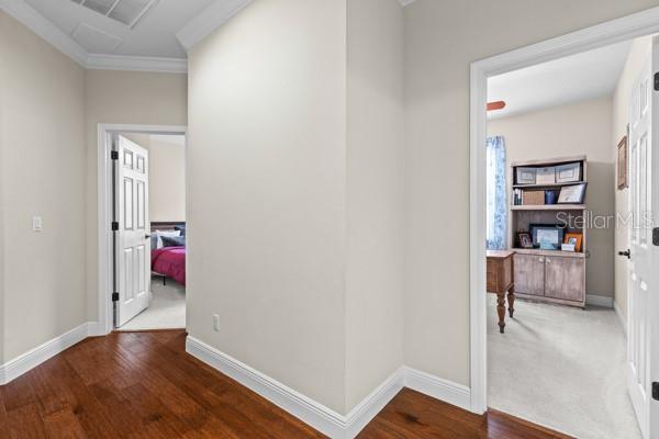 30201 Hackney Loop Mount Dora, FL 32757 - Photo 20 of 50