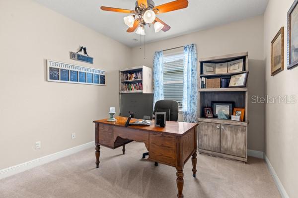 30201 Hackney Loop Mount Dora, FL 32757 - Photo 22 of 50