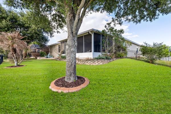 30201 Hackney Loop Mount Dora, FL 32757 - Photo 32 of 50