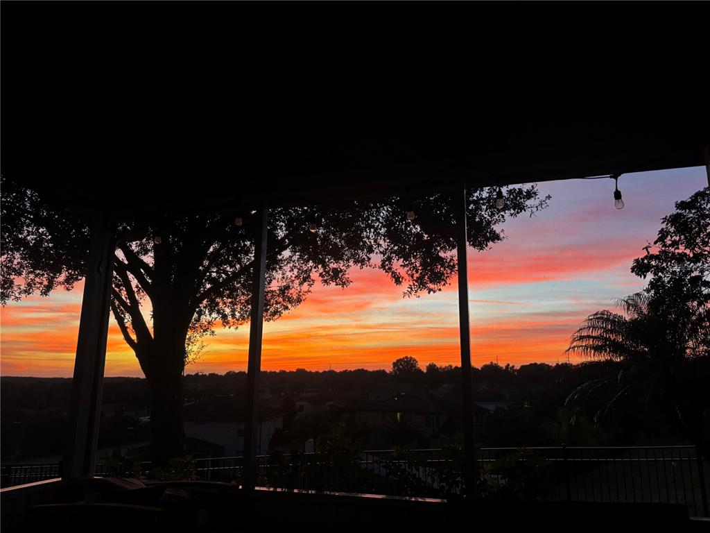 30201 Hackney Loop Mount Dora, FL 32757 - Photo 35 of 50