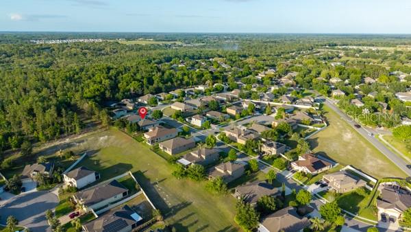 30201 Hackney Loop Mount Dora, FL 32757 - Photo 40 of 50