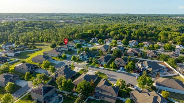 30201 Hackney Loop Mount Dora, FL 32757 - Photo 41 of 50