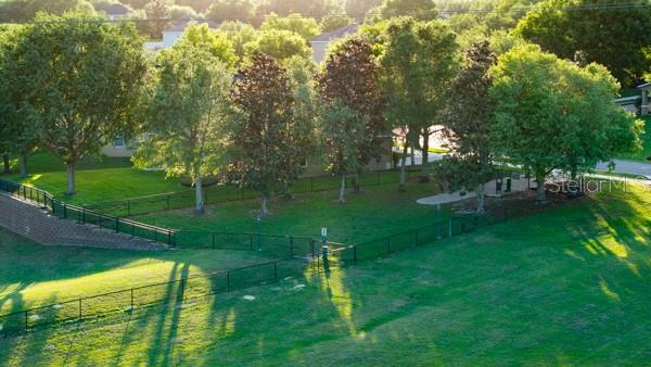 30201 Hackney Loop Mount Dora, FL 32757 - Photo 42 of 50