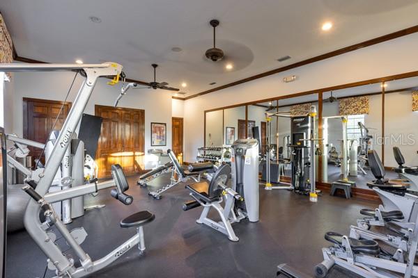 30201 Hackney Loop Mount Dora, FL 32757 - Photo 48 of 50