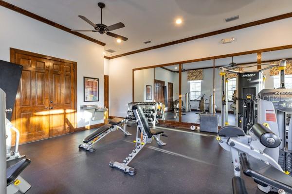 30201 Hackney Loop Mount Dora, FL 32757 - Photo 49 of 50