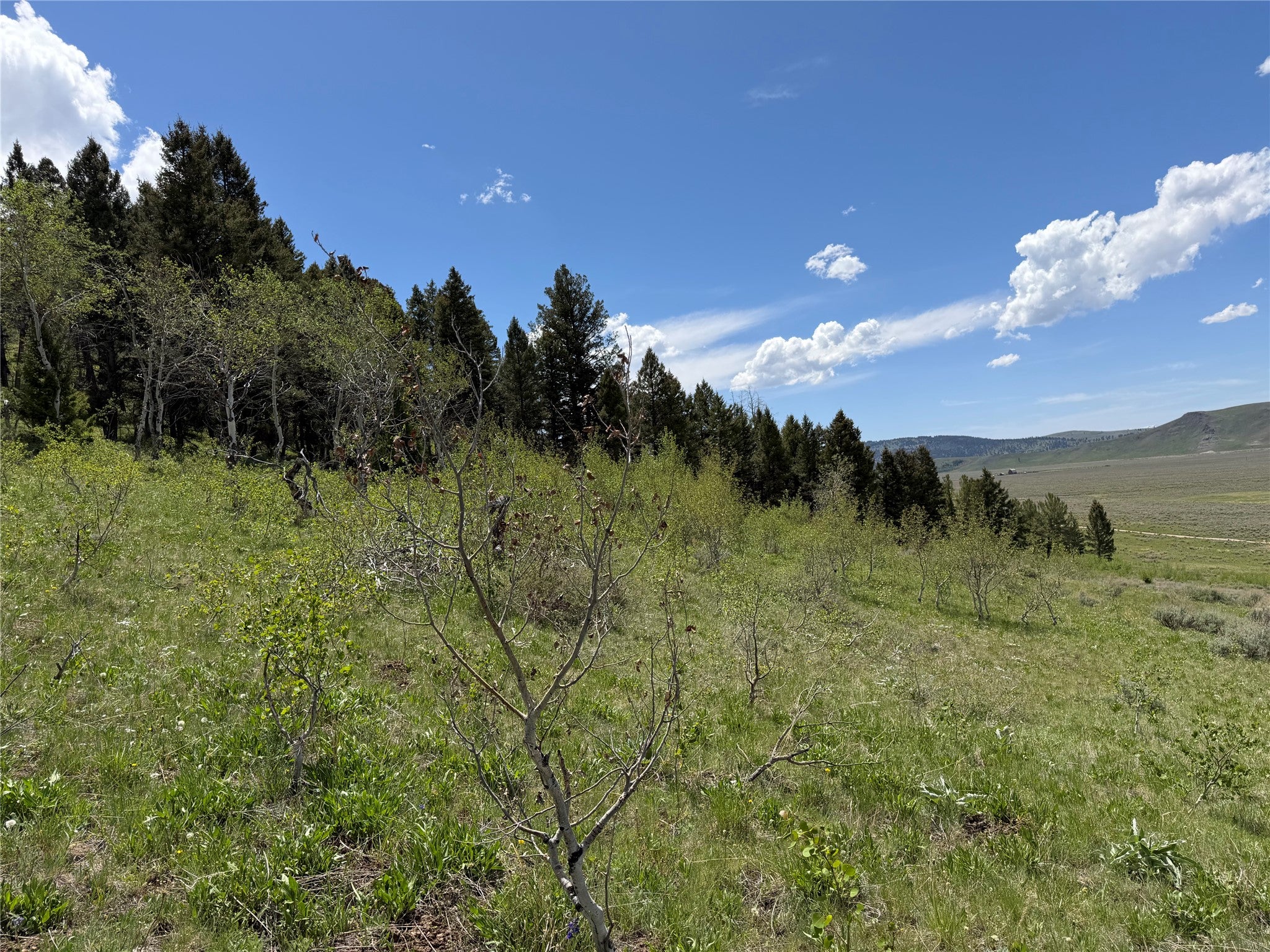 Lot 2-4a Continental Divide Road Cameron, MT 59720 - Photo 13 of 31 Gallery Image 13