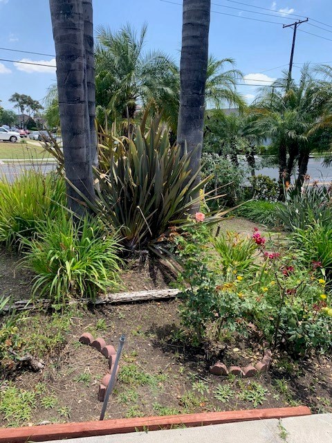 15395 Saranac Drive Whittier, CA 90604 - Photo 4 of 19