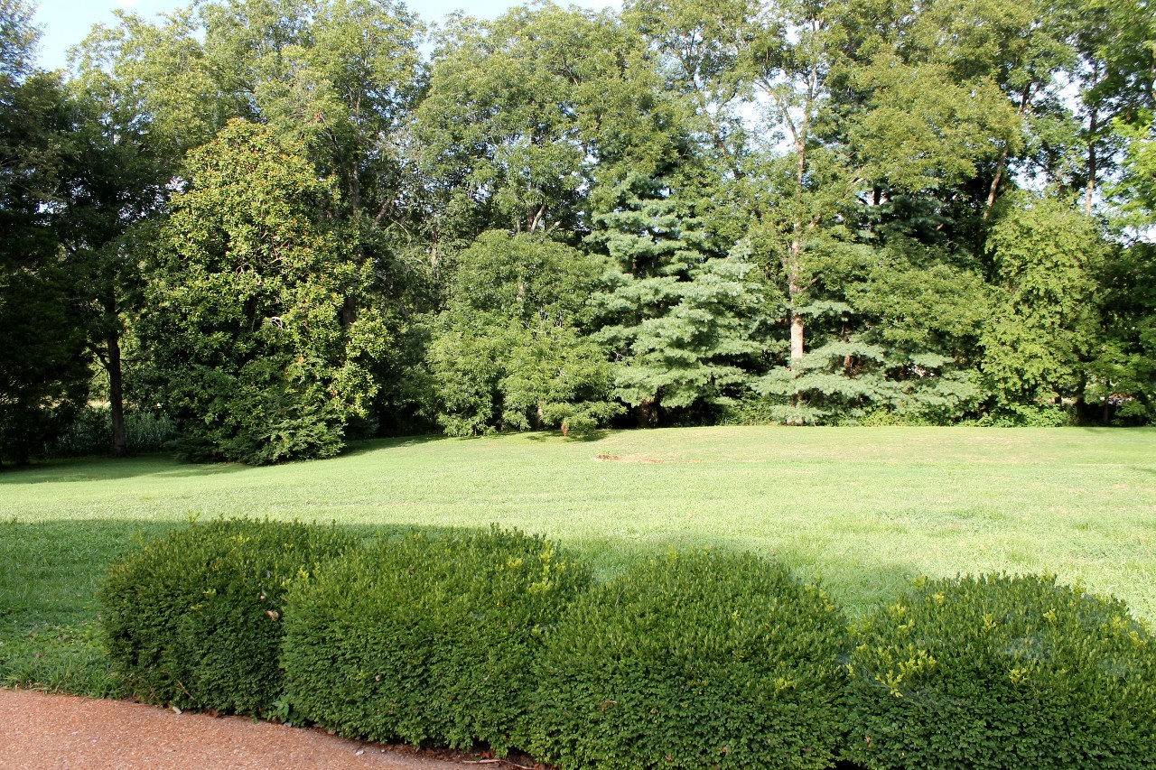 292 High Street Morrison, TN 37357 - Photo 35 of 39