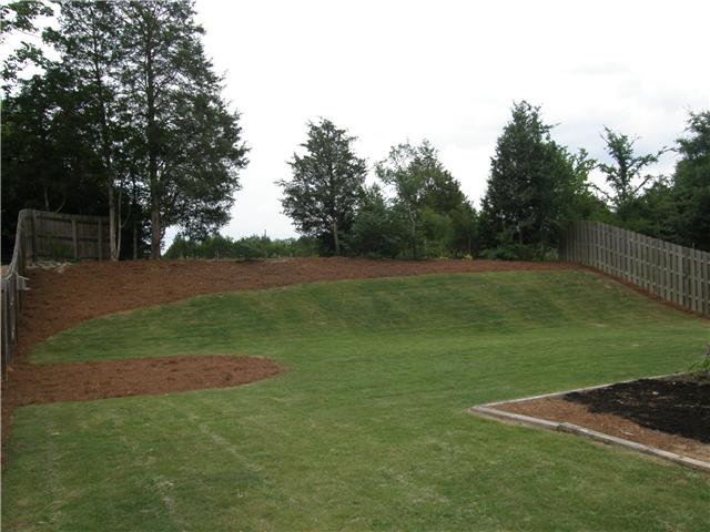 2038 Fiona Way Spring Hill, TN 37174 - Photo 16 of 20 View of the back yard from the house