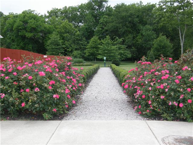 2038 Fiona Way Spring Hill, TN 37174 - Photo 19 of 20 Entry to the neighborhood walking path.