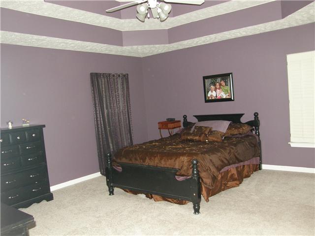 2038 Fiona Way Spring Hill, TN 37174 - Photo 7 of 20 Master Bedroom suite with double trey ceiling and fan. Plenty of room here to create a sitting area, or small computer area. New carpeting in MBR, upstairs hallway and steps. Carpeting in the secondary bedrooms is in very good condition.