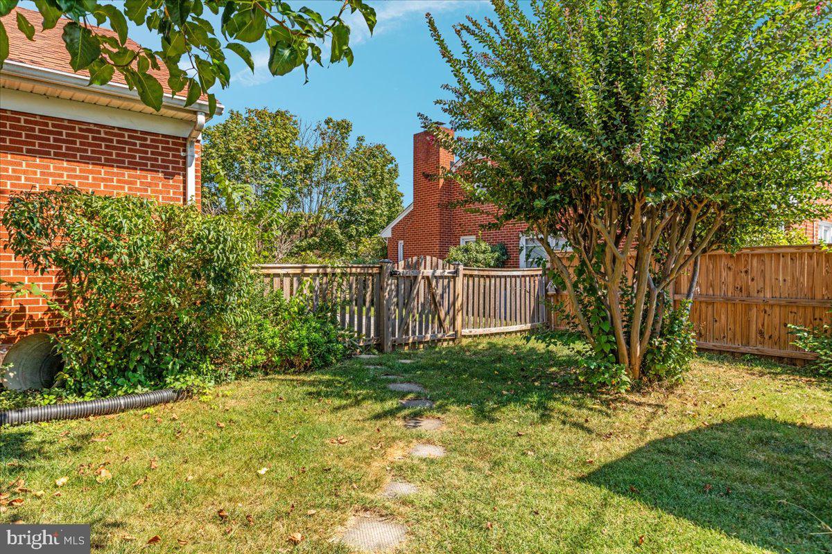 605 Happy Creek Road Front Royal, VA 22630 - Photo 18 of 19 a view of a backyard with large trees and wooden fence
