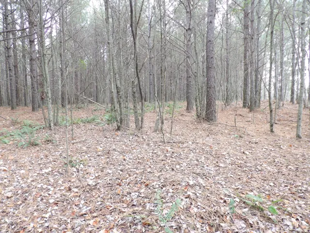 $119,900 | Lot 20 Summercity Road, Evensville, TN 37332