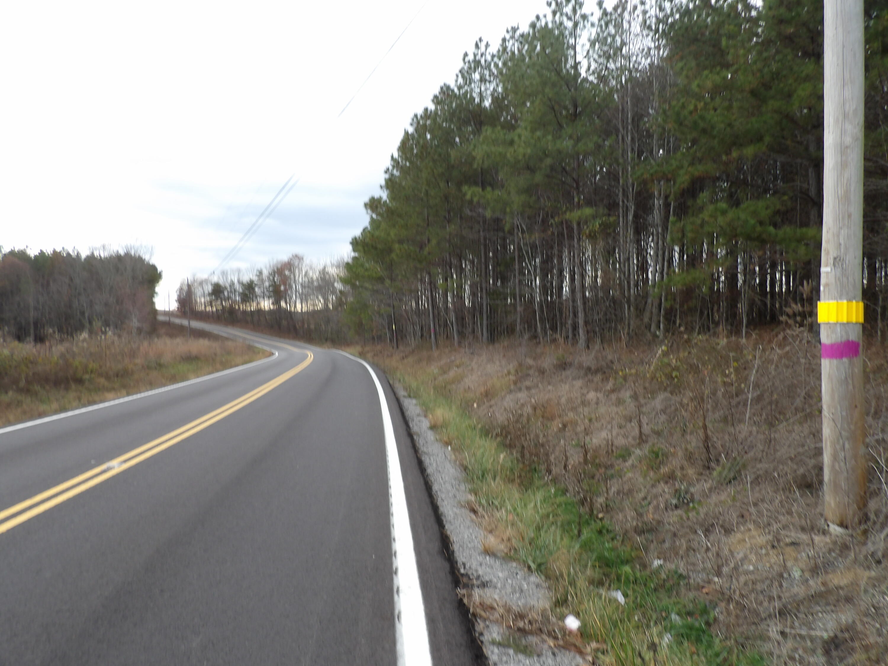 Lot 20 Summercity Road Evensville, TN 37332 - Photo 12 of 20 100_2057