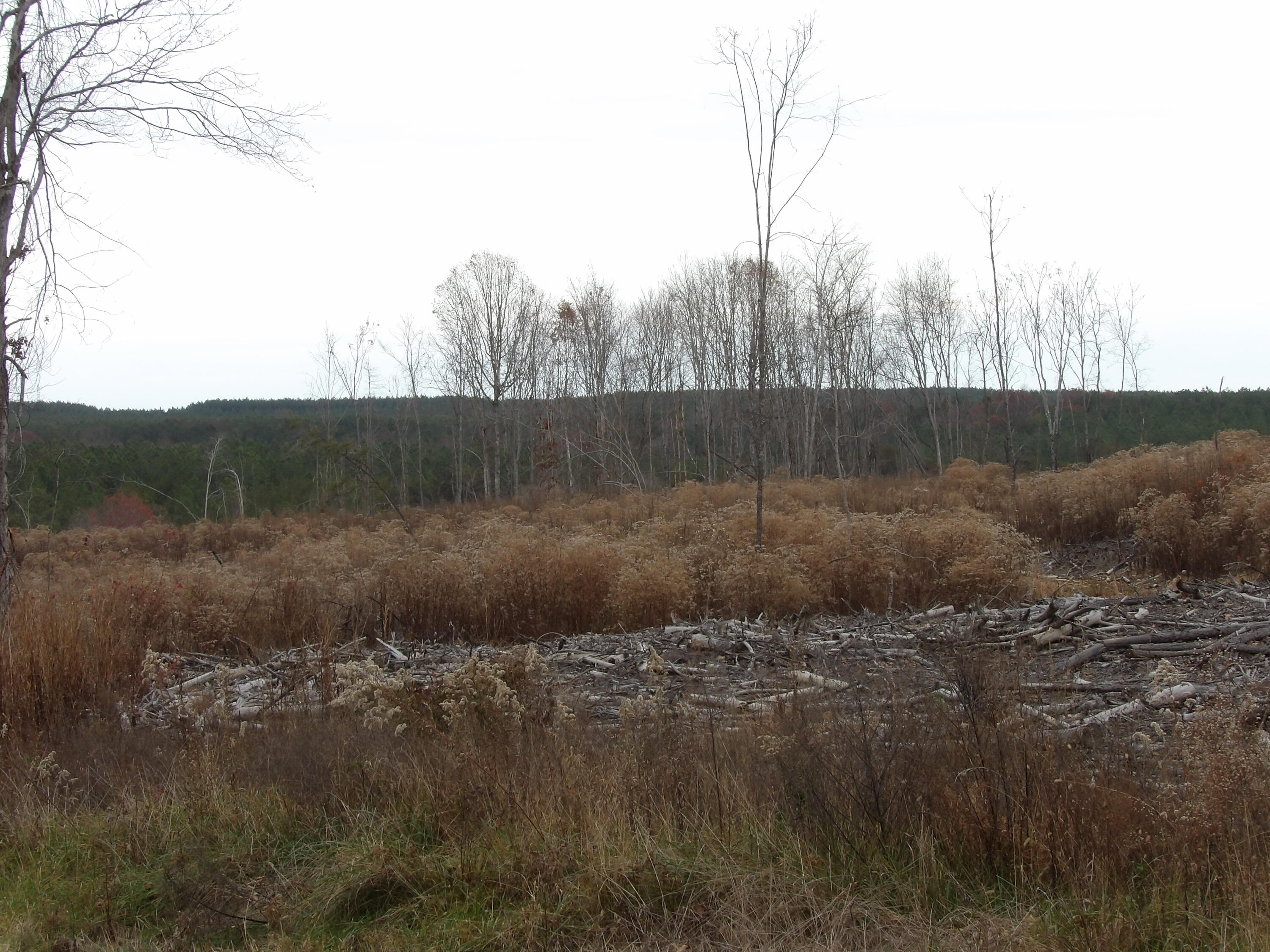 Lot 20 Summercity Road Evensville, TN 37332 - Photo 20 of 20 100_2077