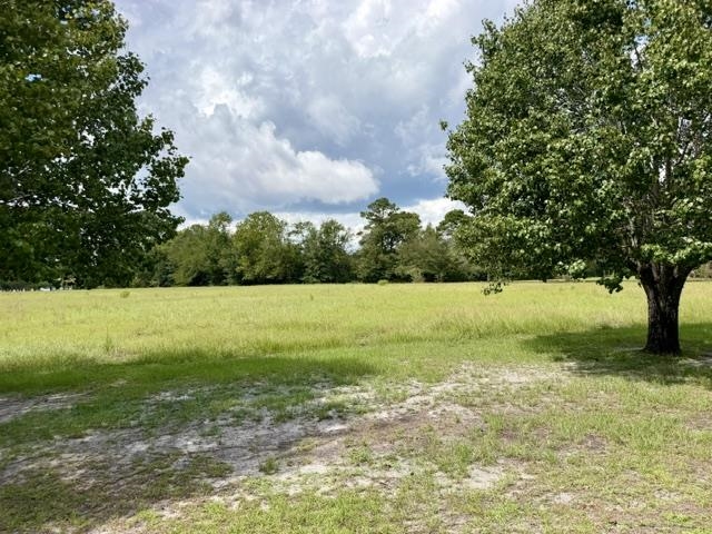 Tbd Holly View Lane Loris, SC 29569 - Photo 2 of 4 Gallery Image 2