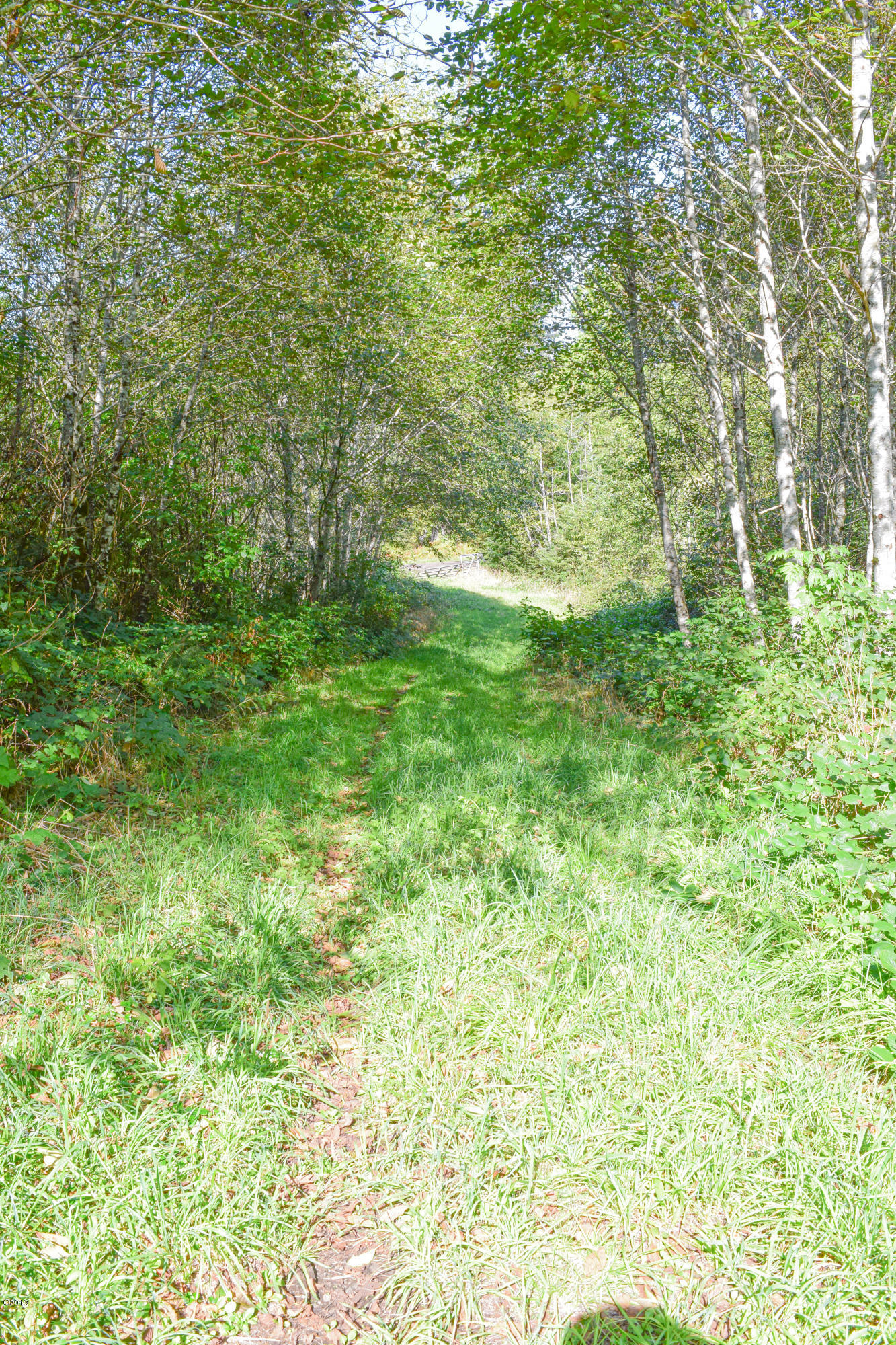 3174 Northeast East Line Road Yachats, OR 97498 - Photo 1 of 12 East Line