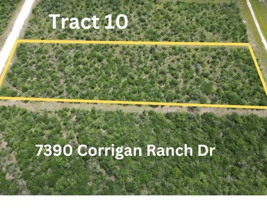 $50,000 | Undisclosed Address, Skidmore, TX 78389