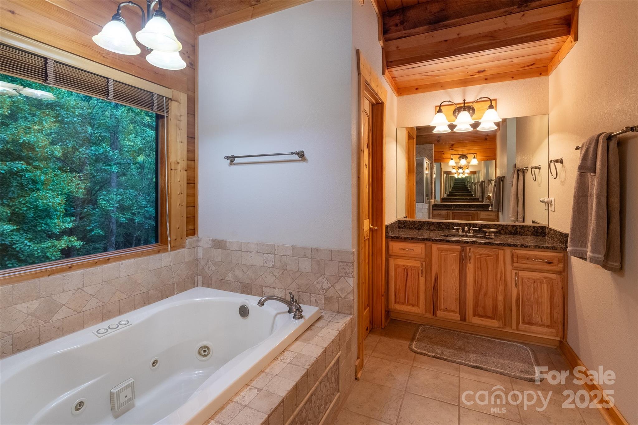 776 Still Branch Road Sylva, NC 28779 - Photo 21 of 43 a bathroom with a tub a sink and a shower