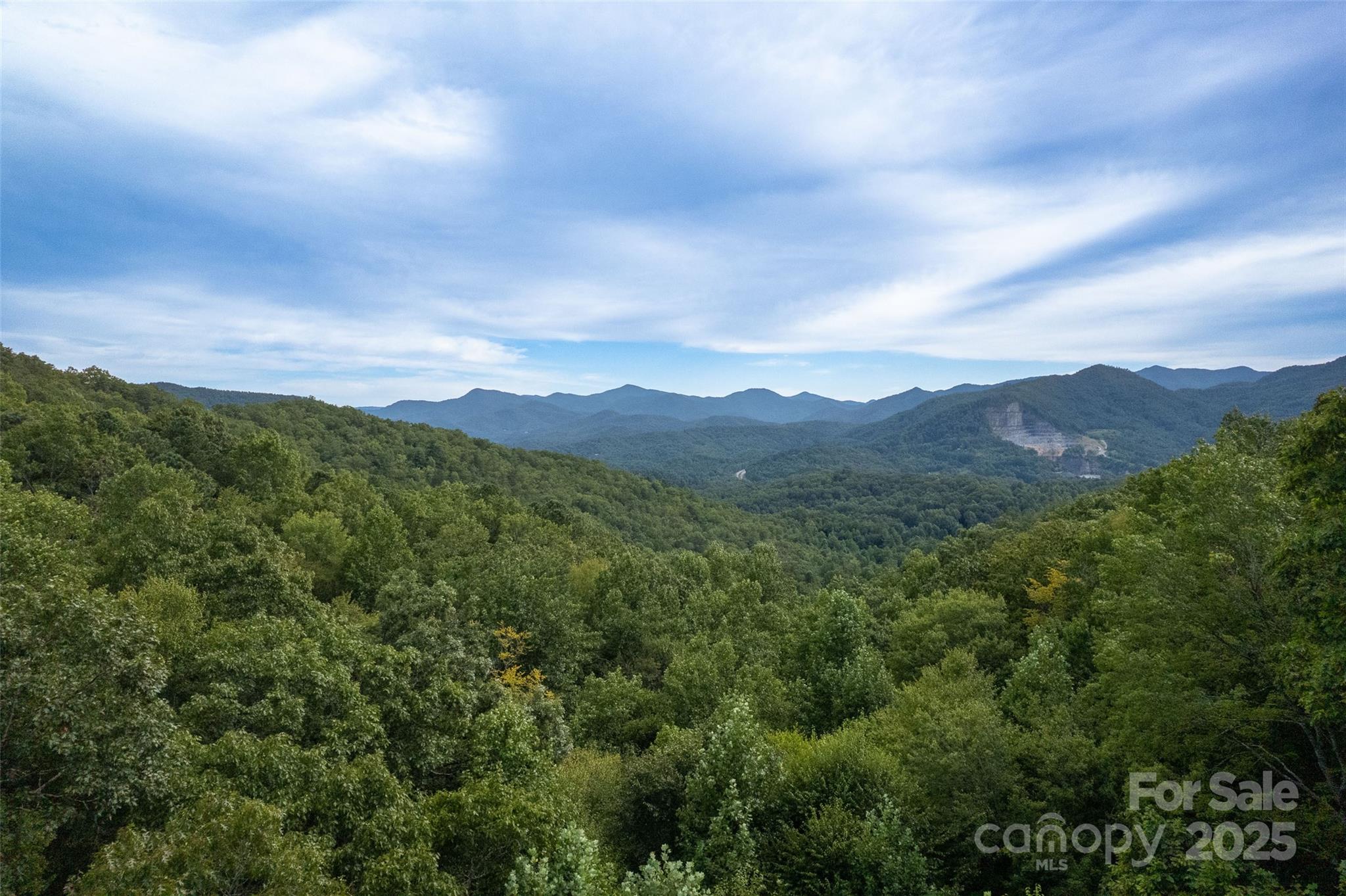 776 Still Branch Road Sylva, NC 28779 - Photo 39 of 43 a view of a city and mountains