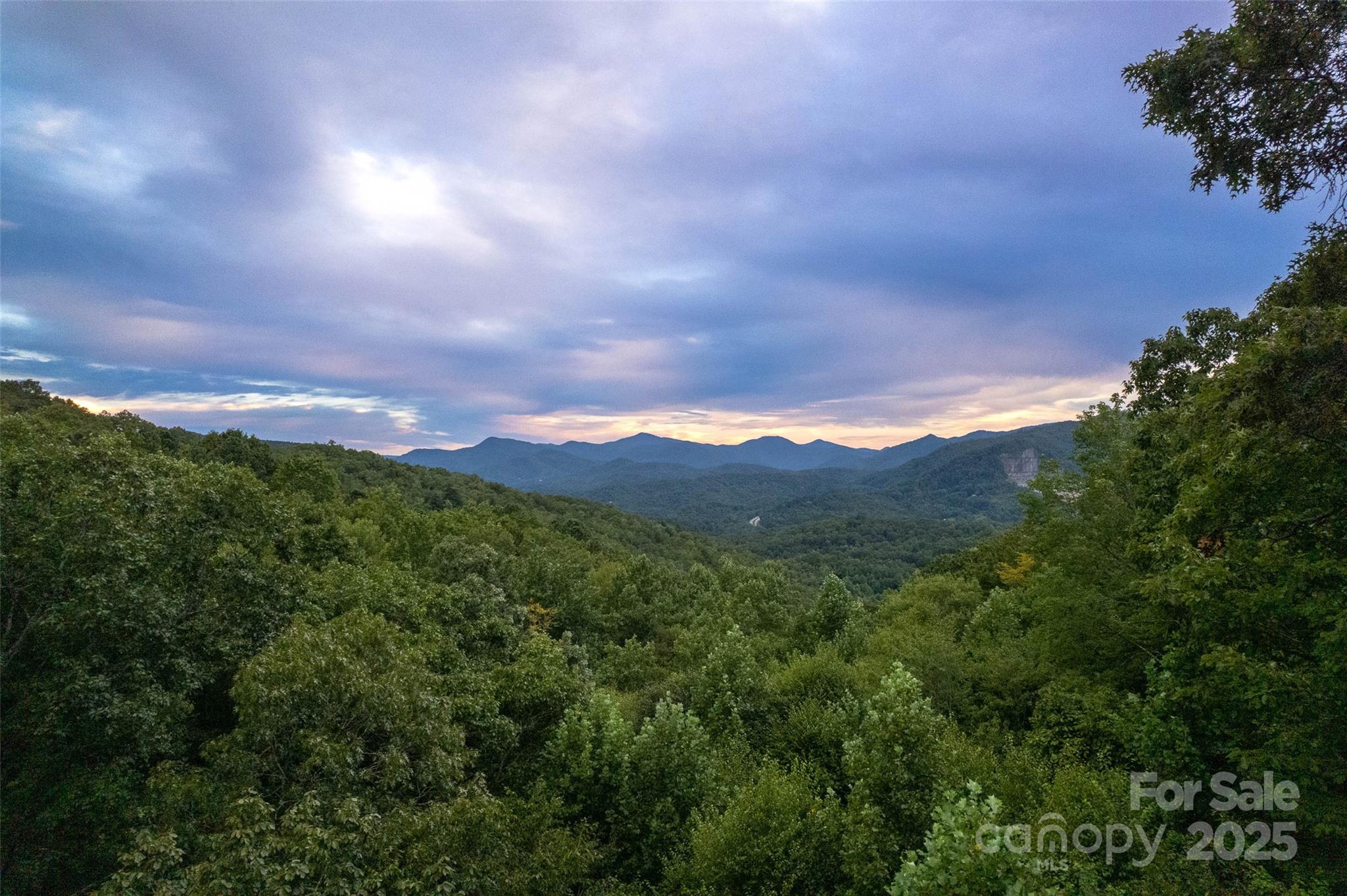 776 Still Branch Road Sylva, NC 28779 - Photo 5 of 43 a view of a city with lush green forest