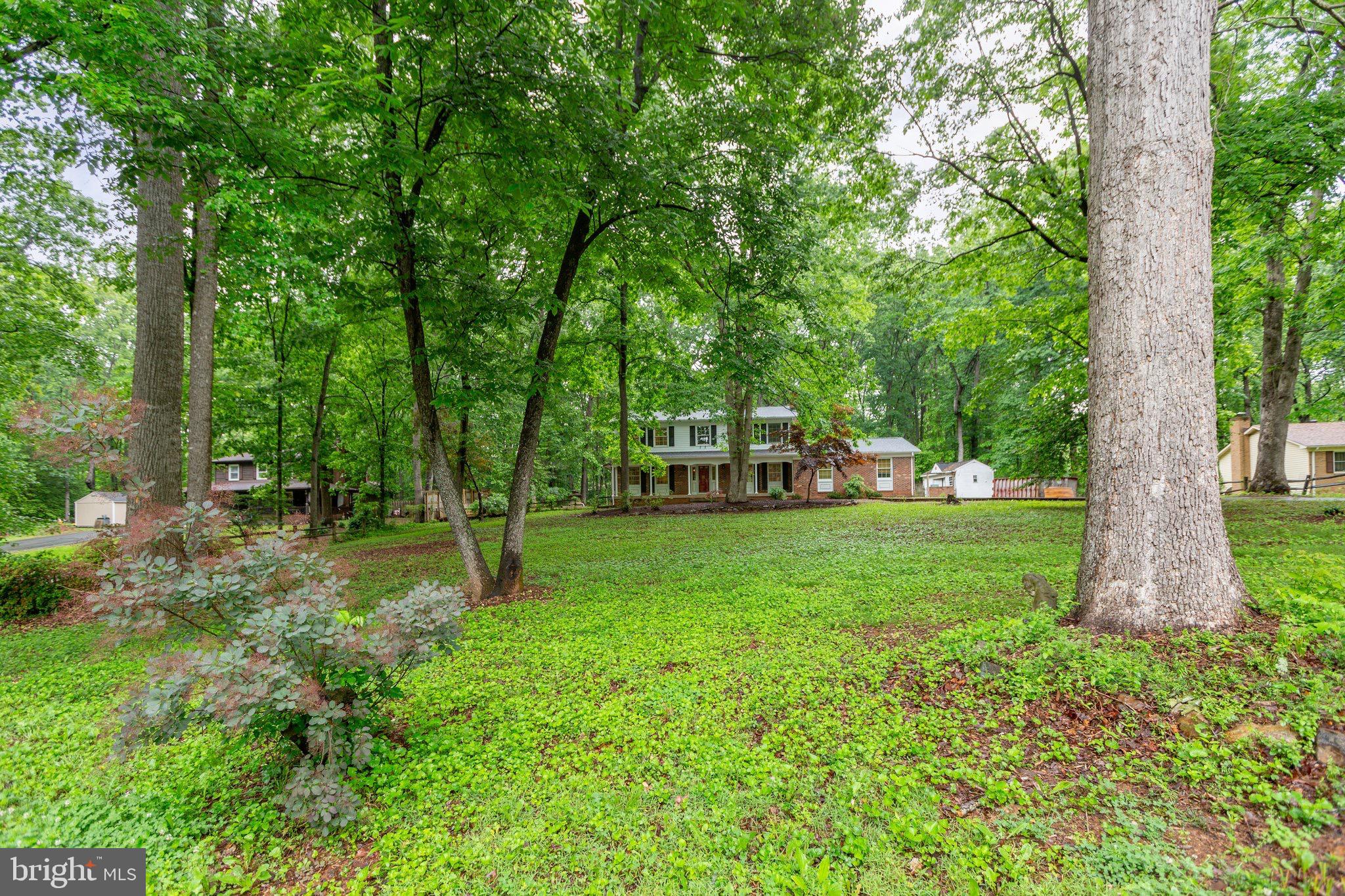 18 Rosedale Drive Stafford, VA 22556 - Photo 3 of 58